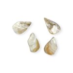 Pingente Madrepérola Disforme - 2 Unds