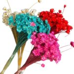 Flor Desidratada Sempre Viva - 1 Buquê