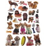 Cartela Adesivo Pets Diversos - Und - Imagem 3