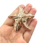 Entremeio Estrela Mar 6,5cm Dourado - 1 Und - Imagem 3