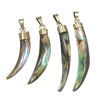 Pingente Chifre Abalone 60mm Madrepérola - 1 Und