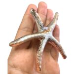 Pingente Estrela do Mar 8,5cm Abs Dourado - 1 Und - Imagem 3