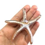 Pingente Estrela do Mar 8,5cm Abs Dourado - 1 Und - Imagem 4