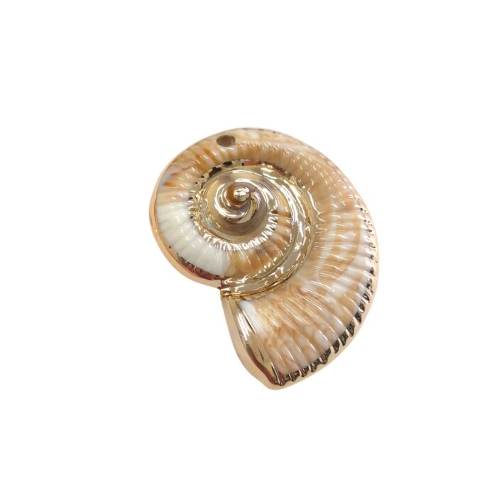 Pingente Caracol do Mar 7cm Abs Dourado - 1 Und - Imagem 1