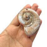 Pingente Caracol do Mar 7cm Abs Dourado - 1 Und - Imagem 2