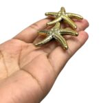 Entremeio Estrela do Mar 37mm Abs Dourado - 1 Und - Imagem 3