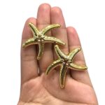 Entremeio Estrela do Mar 37mm Abs Dourado - 1 Und - Imagem 2
