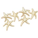 Conta Estrela do Mar 37mm Pérola - 20 Gramas