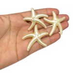 Conta Estrela do Mar 37mm Pérola - 20 Gramas - Imagem 2