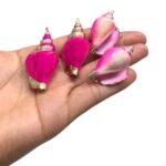 Pingente Concha 45mm Rosa C/ Dourado - 1 Und - Imagem 4