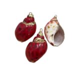 Pingente Concha do Mar Vermelho C/ Dourado – 1 Und