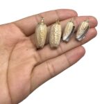 Pingente Concha do Mar Natural C/ Dourado – 1 Und - Imagem 3