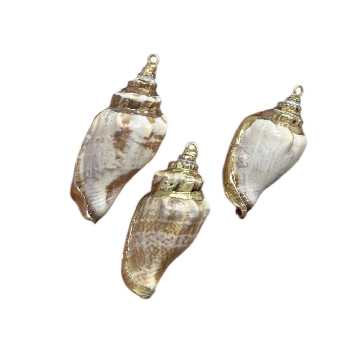 Pingente Concha do Mar Natural C/ Dourado – 1 Und - Imagem 1