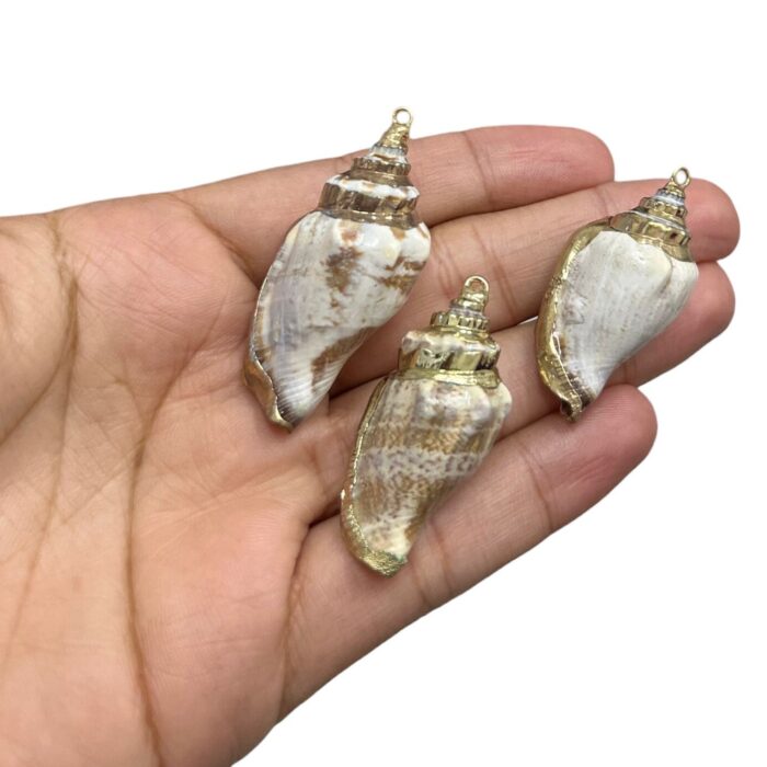 Pingente Concha do Mar Natural C/ Dourado – 1 Und - Imagem 2