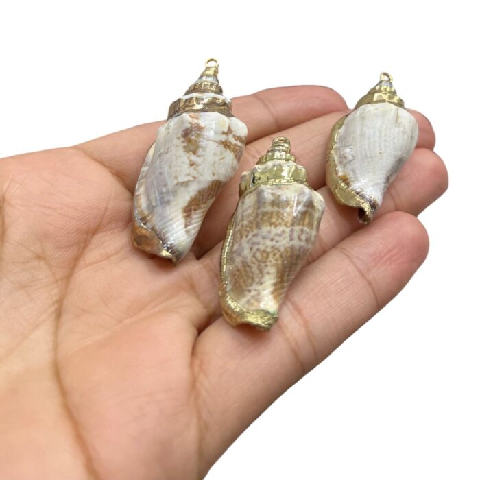 Pingente Concha do Mar Natural C/ Dourado – 1 Und - Imagem 3