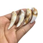 Conta Dente 45mm Resina - 20 Gramas - Imagem 3
