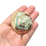 Pingente Concha 48mm Dourado - 1 Und - Imagem 2