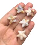 Conta Estrela do Mar 21mm Resina – 20 Gramas - Imagem 2
