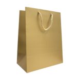 Sacola Papel 18x10x23cm P/ Presente - 1 Und
