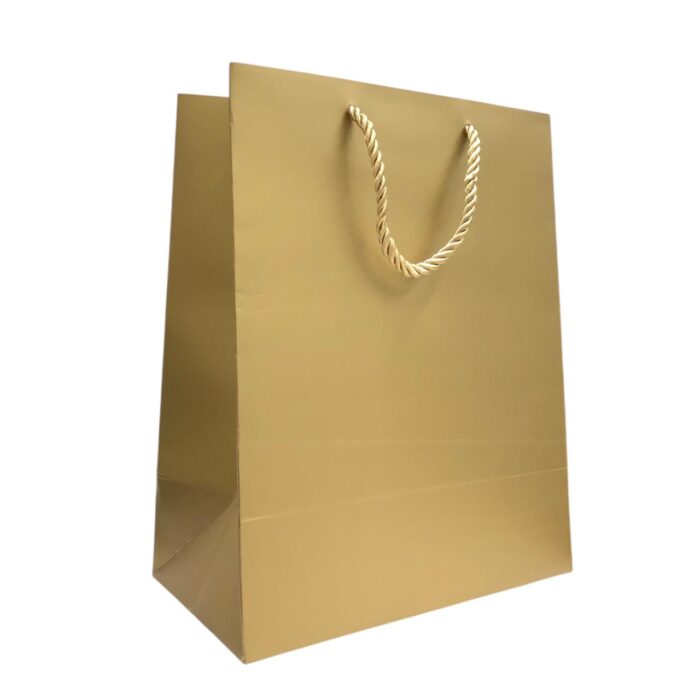 Sacola Papel 18x10x23cm P/ Presente - 1 Und - Imagem 1