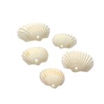 Conta Pingente Concha Do Mar Natural - 20 Gramas