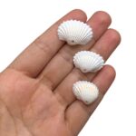 Conta Pingente Concha Do Mar Natural - 20 Gramas - Imagem 3