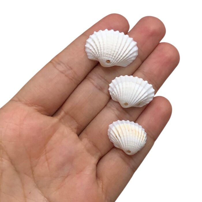 Conta Pingente Concha Do Mar Natural - 20 Gramas - Imagem 3