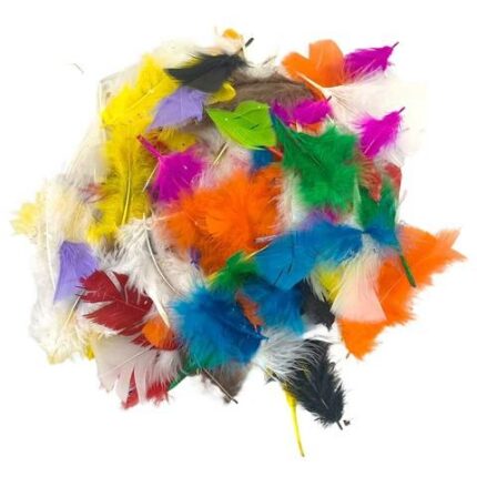 Pena De Galinha Colorido - C/ 5 Gramas