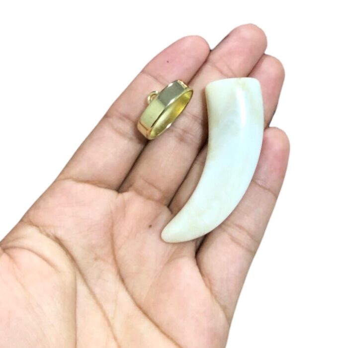 Pingente Dente Resina C/ Terminal Dourado – 1 Und - Imagem 2