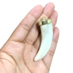 Pingente Dente Resina C/ Terminal Dourado – 1 Und - Imagem 3