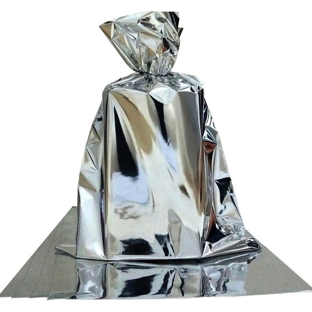 WhatsApp Image 2025-10-21 at 12.42.30 Saco Presente Metalizado 15x22cm Prata - C/ 10 Unds - Imagem 1