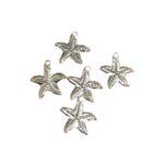 Pingente Estrela Do Mar 21mm Níquel - 1 Und