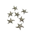 Entremeio Estrela Do Mar 16mm Níquel - 1 Und