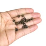 Terminal Tulipa Copo 5mm Ouro Velho - 20 Unds - Imagem 2