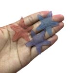 Pingente Estrela Do Mar 40mm Acrílico - 1 Und - Imagem 2