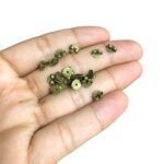 Tarracha Borboleta 6mm Latão Ouro Velho - C/ 10 Pares - Imagem 2