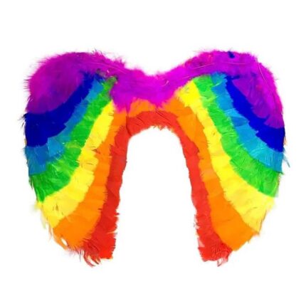 Asa De Anjo Arco-Íris Carnaval - 1 Und