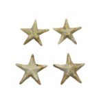 Conta Estrela Do Mar 40mm Abs - 20 Gramas