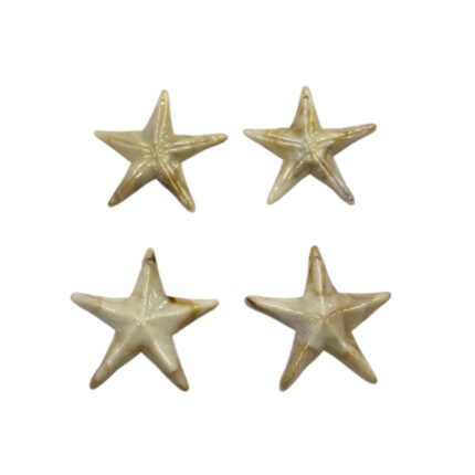 Conta Estrela Do Mar 40mm Abs - 20 Gramas