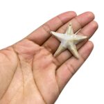 Conta Estrela Do Mar 40mm Abs - 20 Gramas - Imagem 2