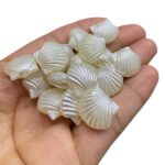 Conta Concha Do Mar 14mm Acrílico - 20 Gramas - Imagem 3