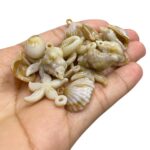 Conta Mix Marítimo Abs - 20 Gramas - Imagem 4