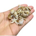 Conta Mix Marítimo Abs - 20 Gramas - Imagem 2