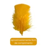 Pena De Peru Média - C/12 Unds - Imagem 3