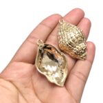 Pingente Concha Do Mar 44mm Trabalhado Dourado - 1 Und - Imagem 2