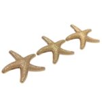Entremeio Estrela Do Mar 50mm Dourado - 1 Und - Imagem 4