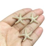 Entremeio Estrela Do Mar 25mm Dourado - 1 Und - Imagem 3