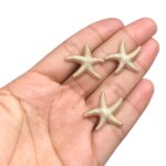 Entremeio Estrela Do Mar 25mm Dourado - 1 Und - Imagem 2