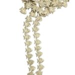 Fio Pedra Peixe 25mm - 1 Fio - Imagem 4