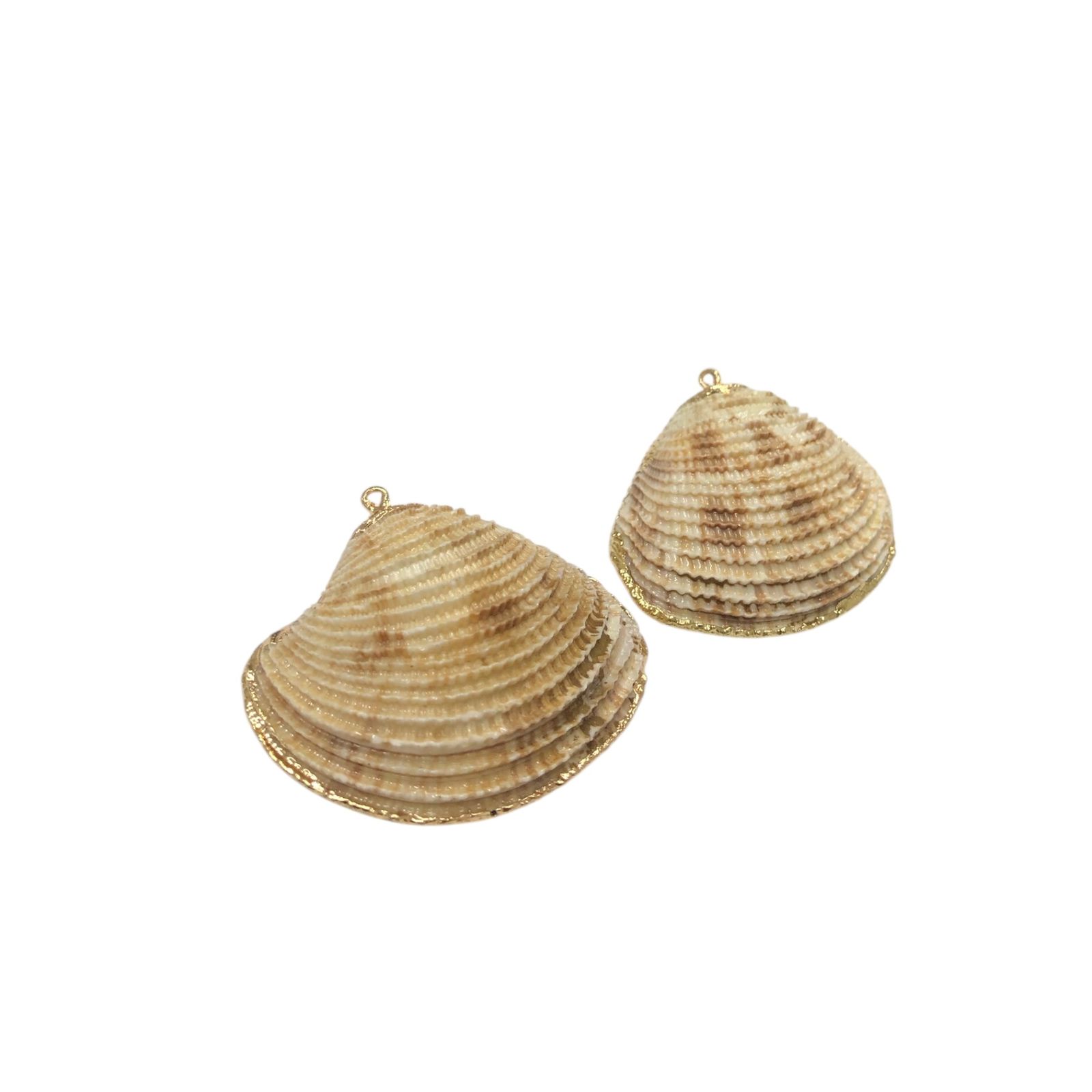 WhatsApp Image 2025-12-17 at 16.22.49 (3) Pingente Concha Do Mar C/Frizo - 1 Und - Imagem 1